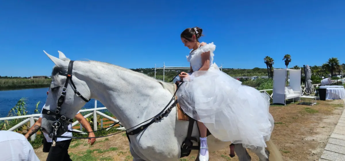 Festa di prima comunione con cavallo bianco